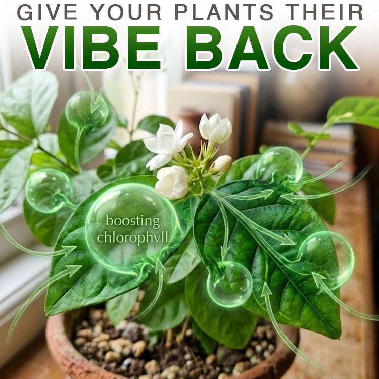 Cletidu® Plant Resurrection Liquid