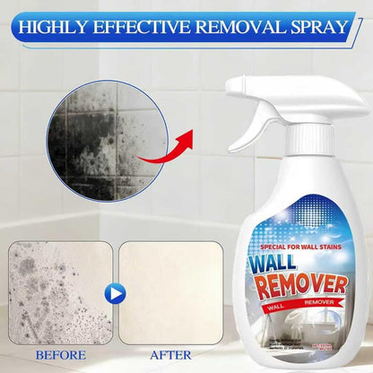 Remifa® Highly Effective Mold Removal Spray